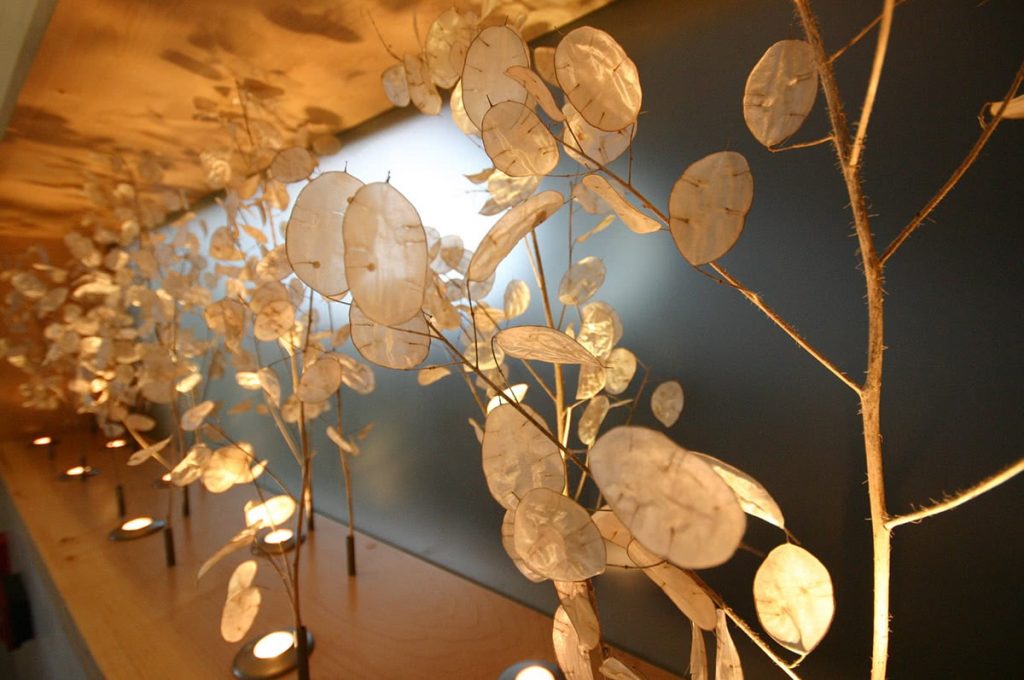 Accent, Lighting and Material Selection