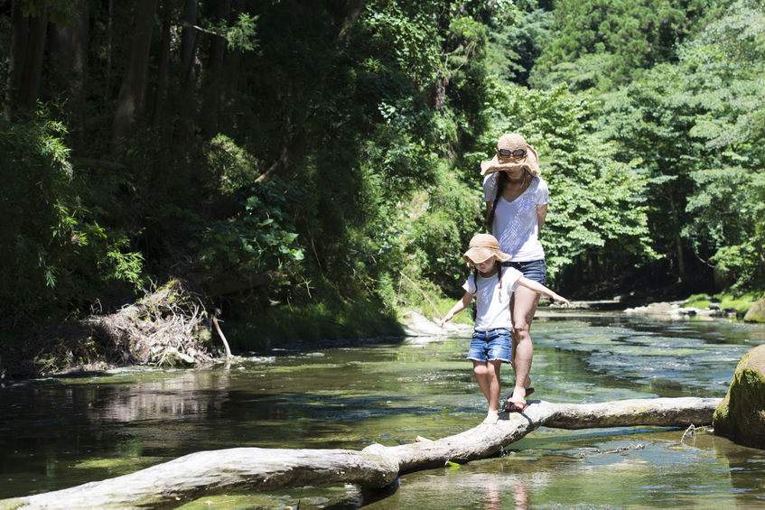 Invite Mother Nature to Contribute to the Interior Design of your Asheville Home