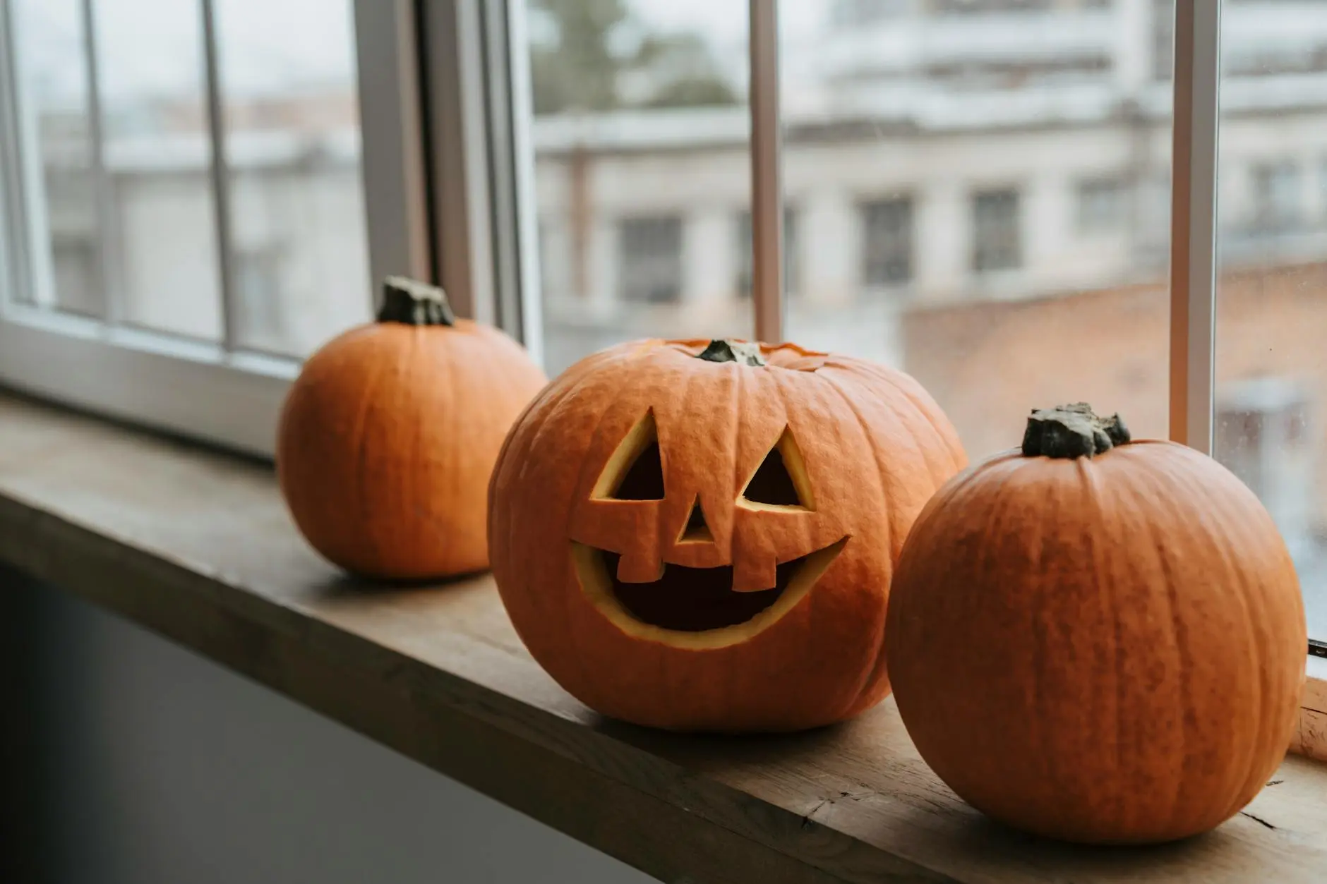 Three carved pumpkins sit on a window sill, celebrating Halloween indoors.