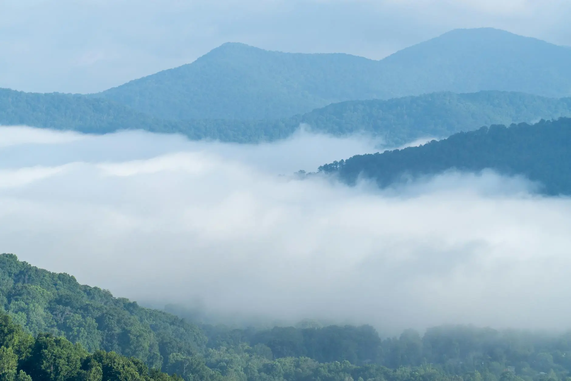 Foggy Blue Ridge Mountains with lush greenery in Asheville, NC.