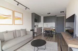 Elegant modern living space with grey couch, minimalist decor, and open kitchenette.